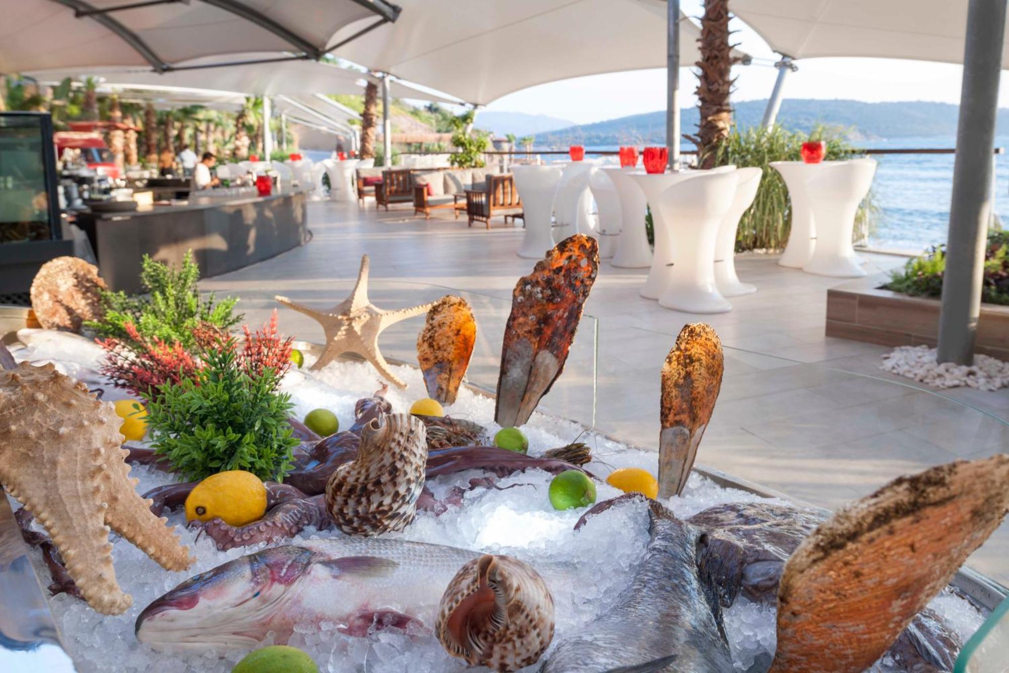 Le Meridien Bodrum Beach Resort بوغازيتْشي المظهر الخارجي الصورة